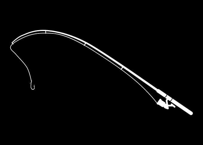Fishing rod