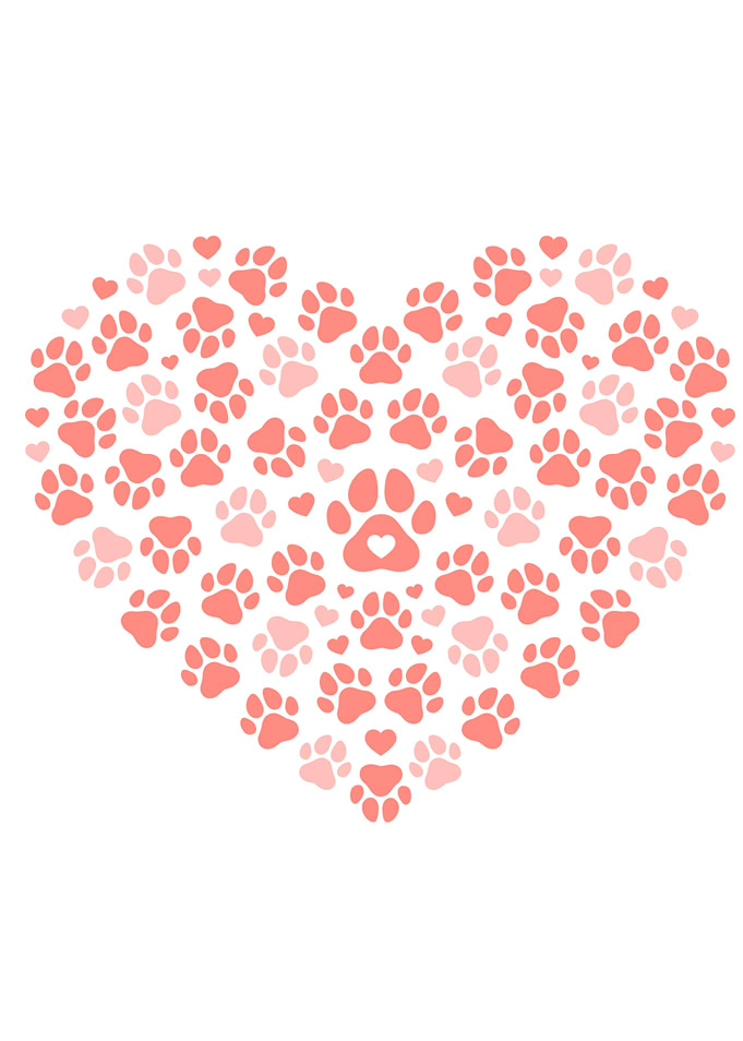 Heart Of Dog Footprints