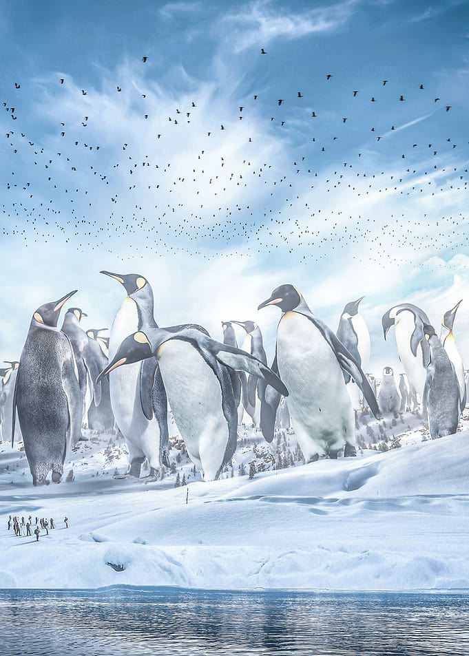 Giant Penguins