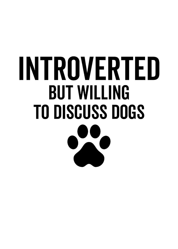 Introverted But Willing To