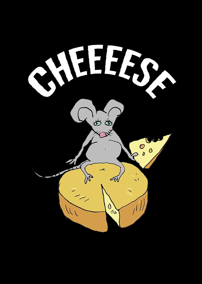 Abstract Mouse Cheeeese