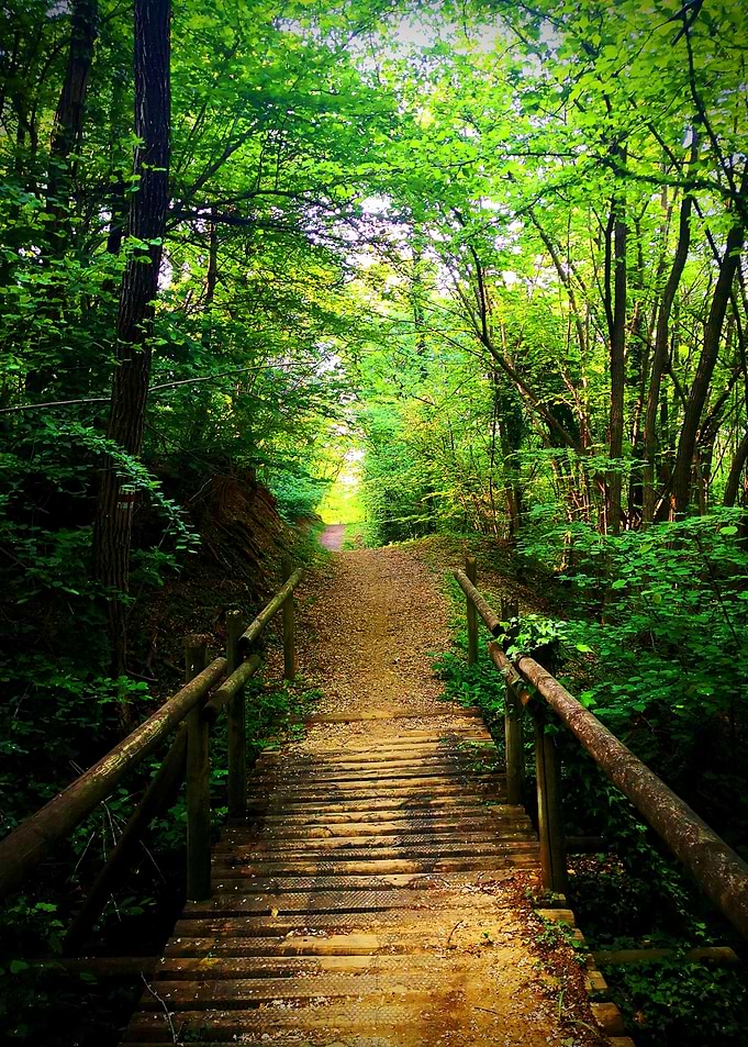 Path