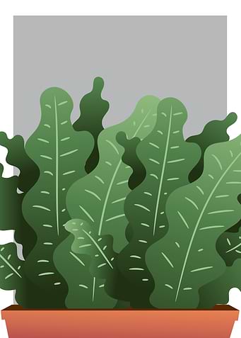 Plants Vol 1
