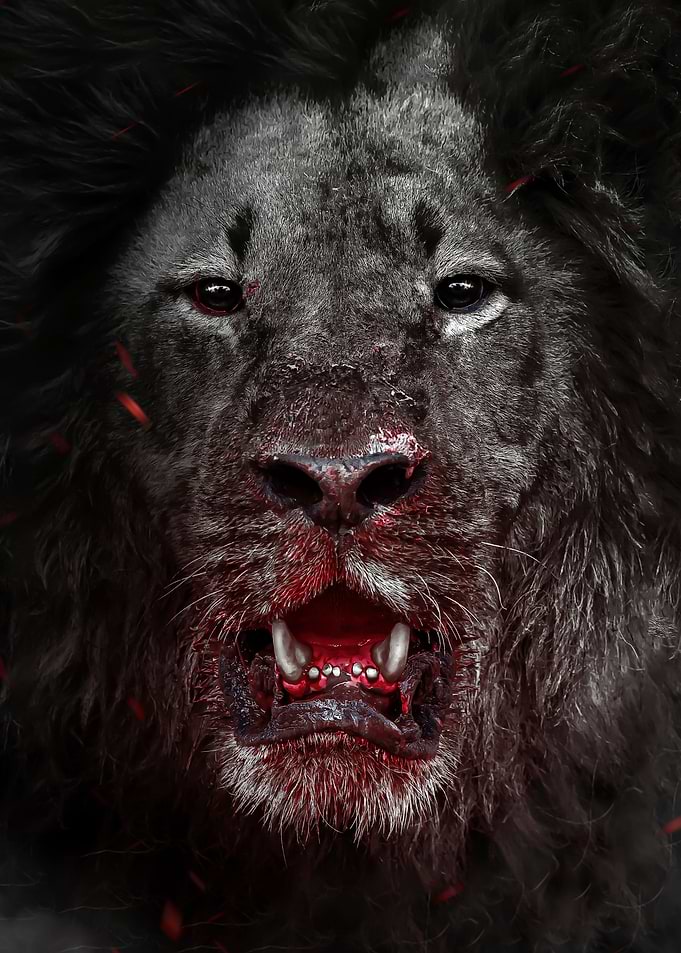 hunter black wild lion