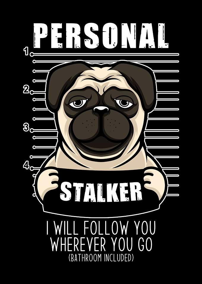 Pug Funny