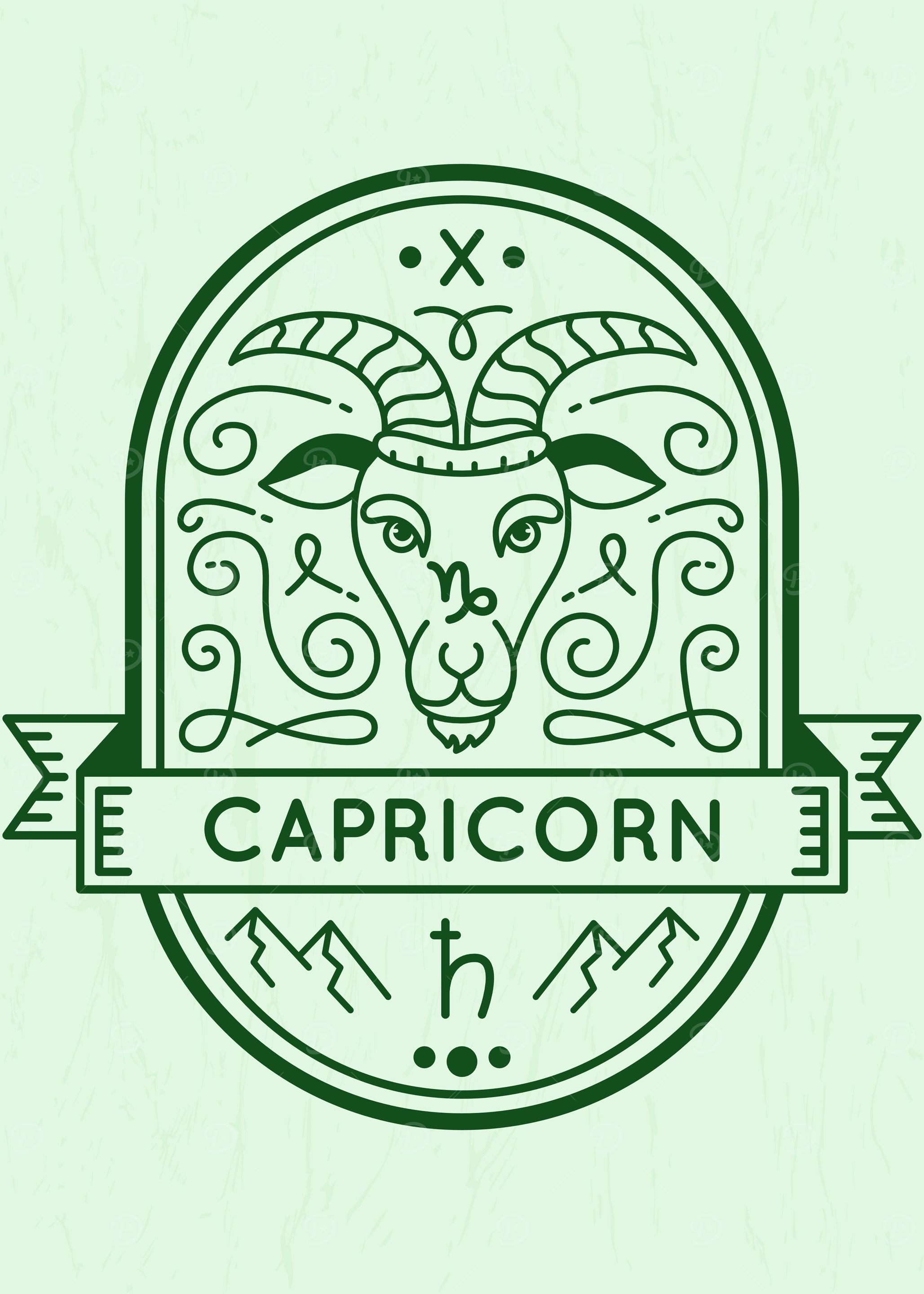 ZODIAC EARTH CAPRICORN