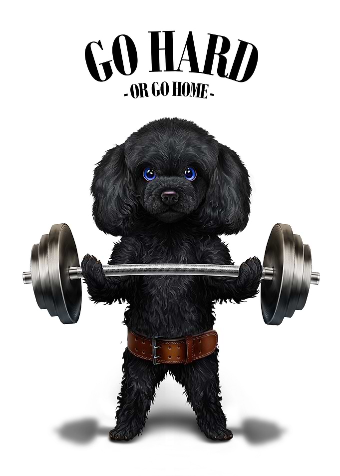 Poodle Dog Weightlifting