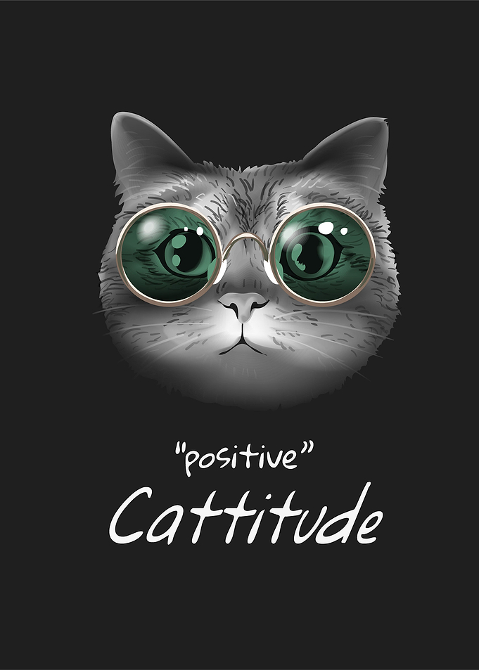 positive cattitude