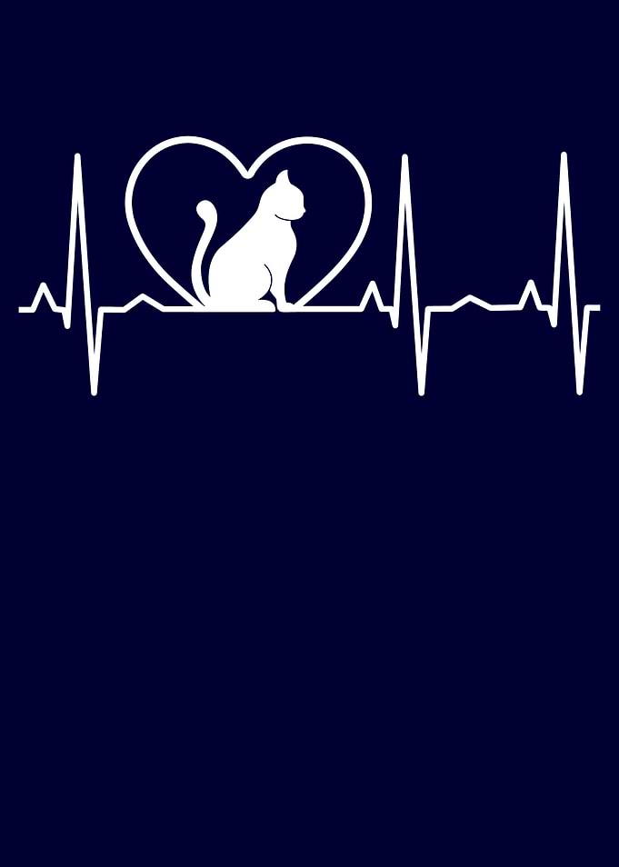 Cat Heartbeat