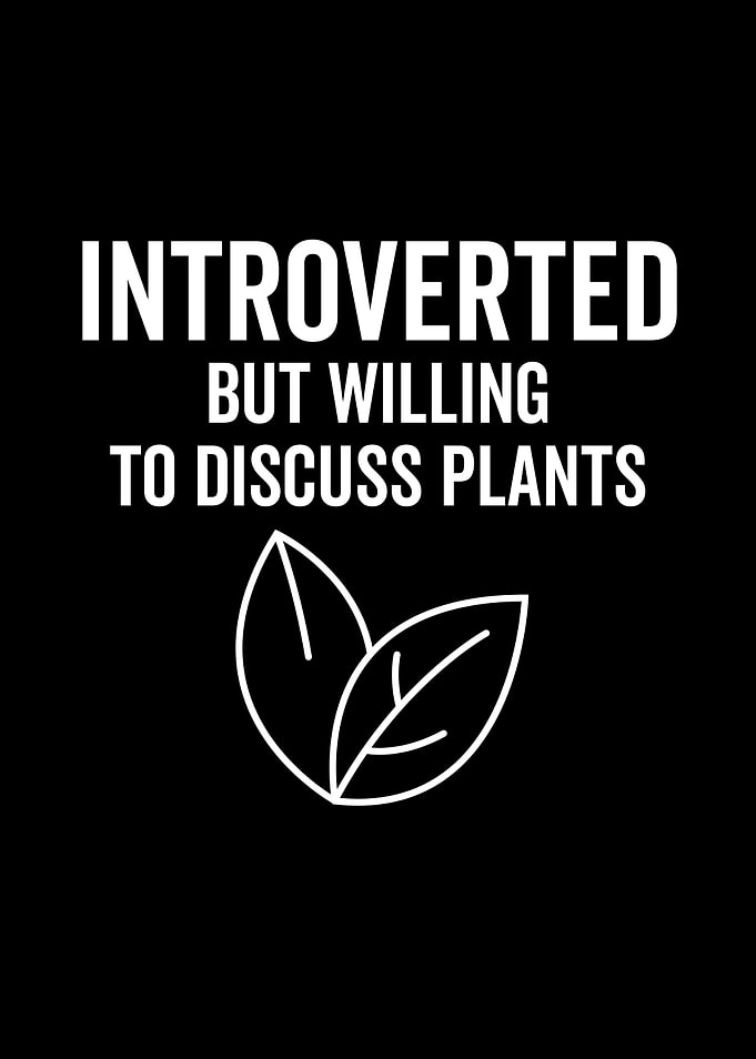 Introverted But Willing To