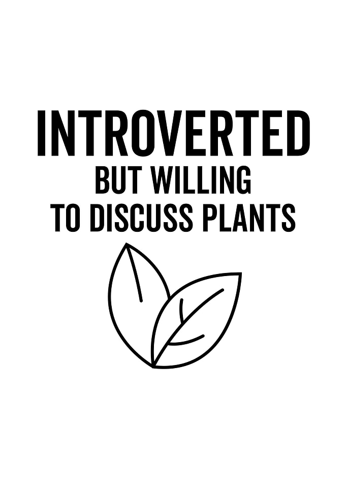 Introverted But Willing To