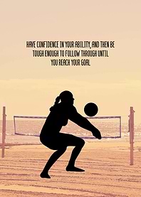 Volleyball Wall Art Decor