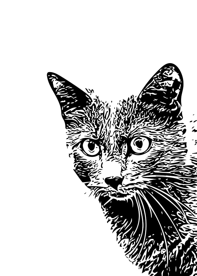 Cat shape 2