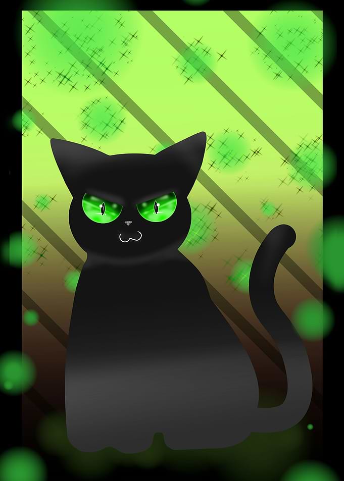 Black Cat