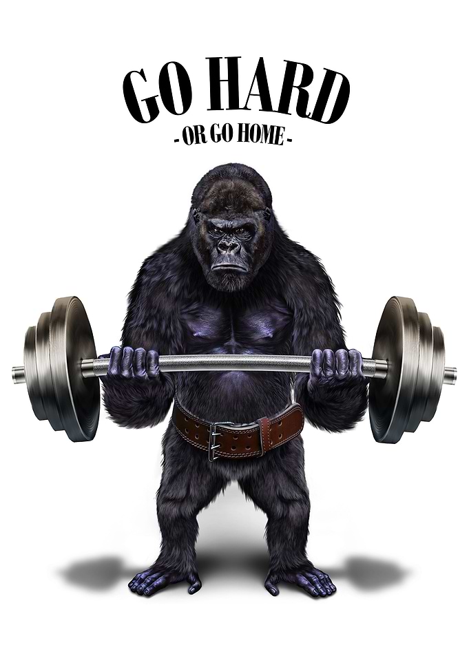 Gorilla Weightlifting