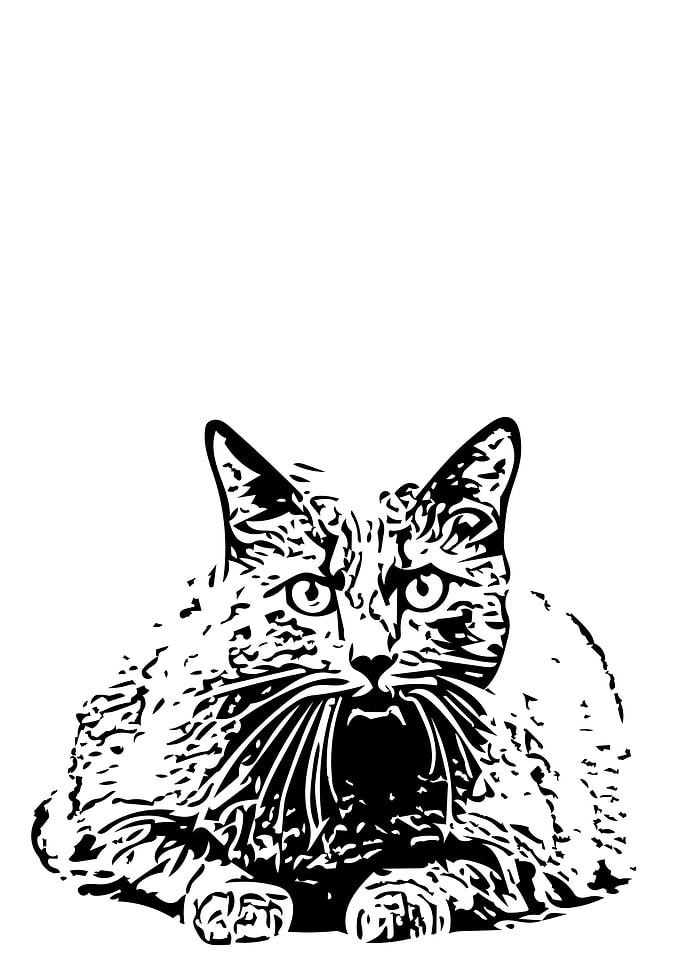 Cat shape 1