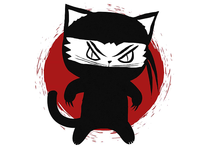 Ninja Cat