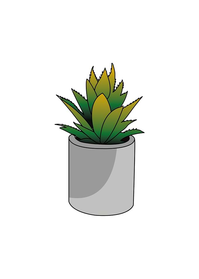 Mini Plant