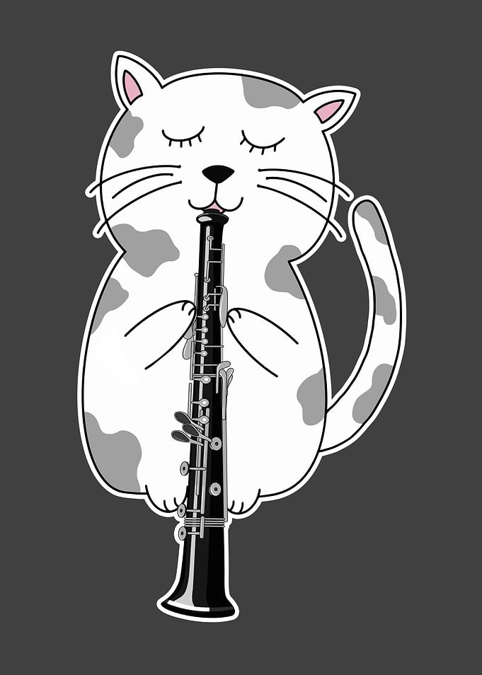 Funny Cat Wearing