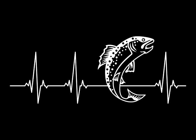 Trout heartbeat