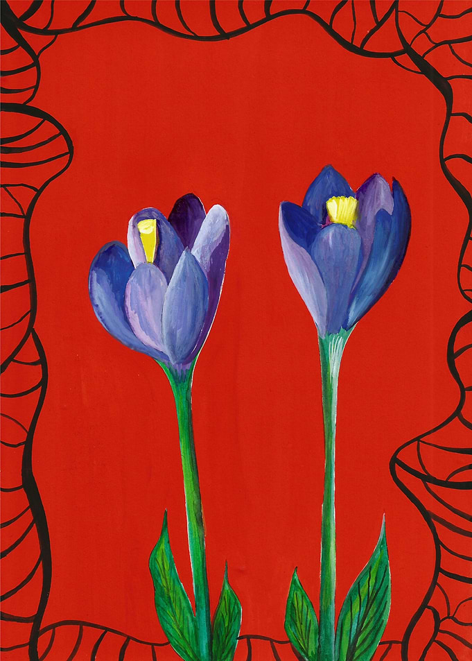 Purple Flowers