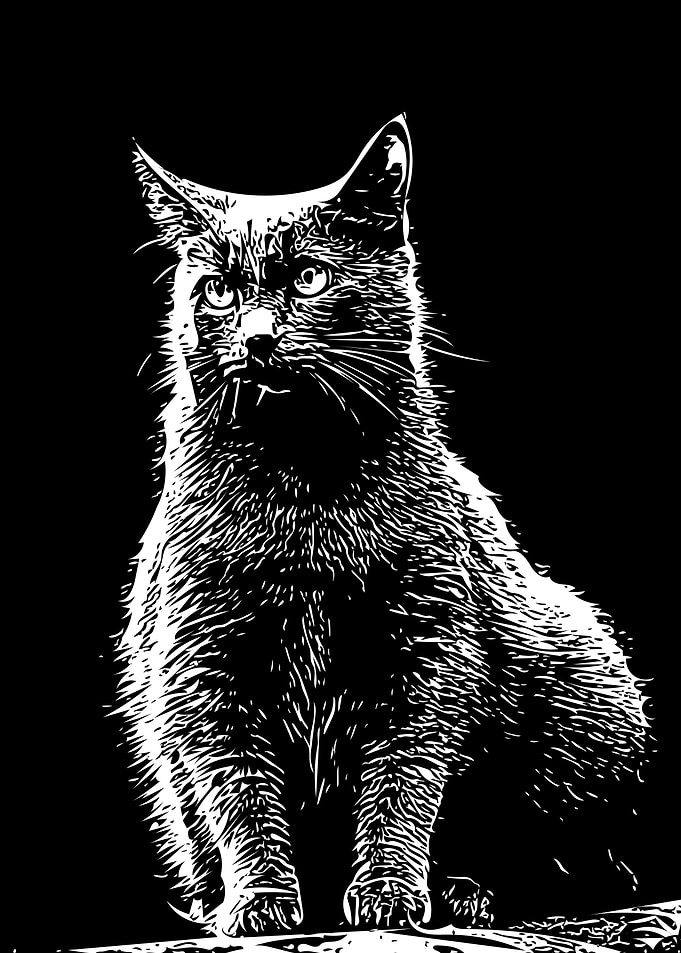 Cat shape 3