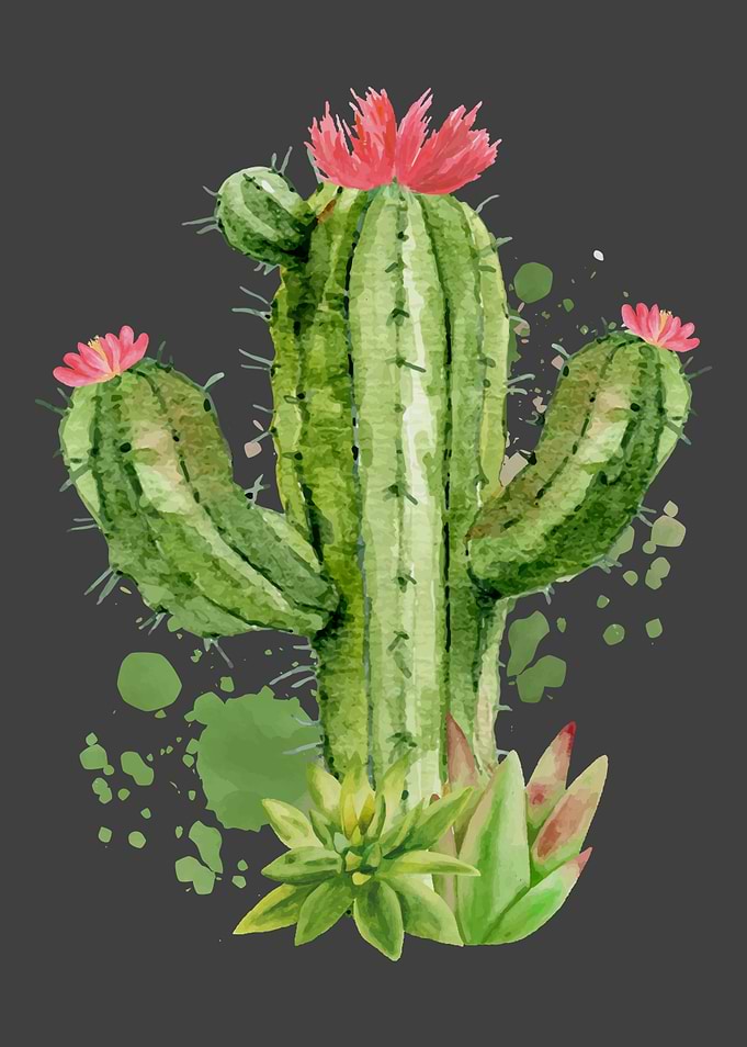 Cute Blooming Cactus