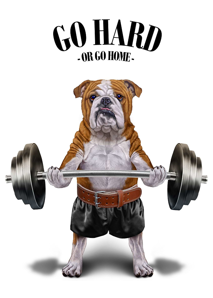 Bulldog Weightlifting