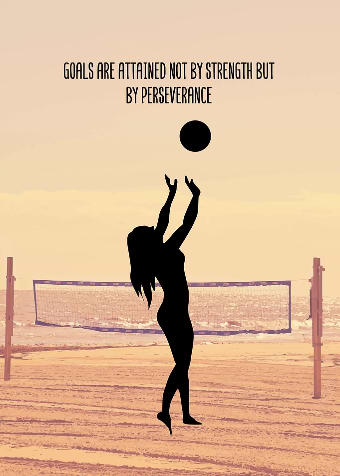 Volleyball Wall Art Decor