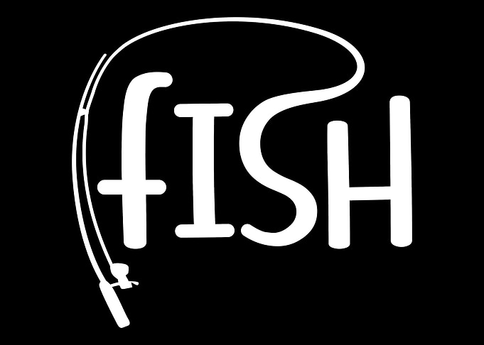 Fishing fish rod
