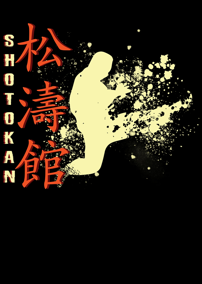 Karate Shotokan