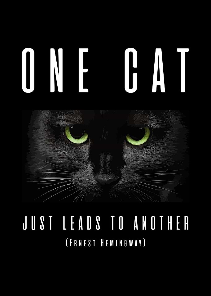 Black Cat