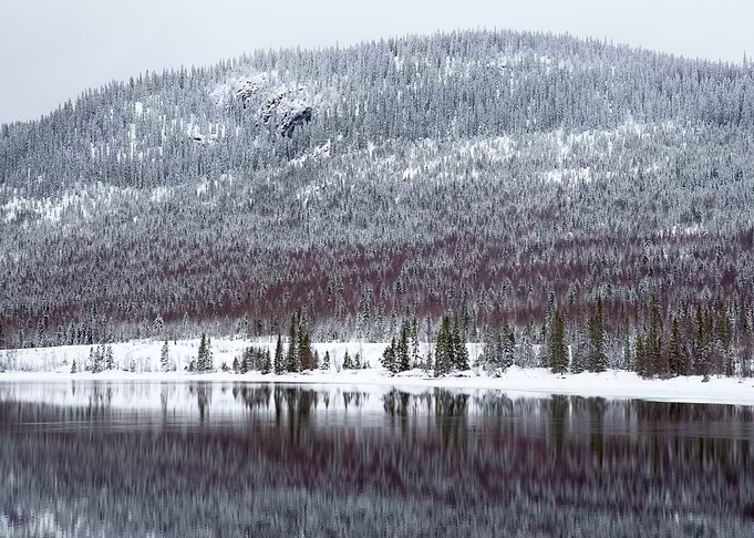 Reflected