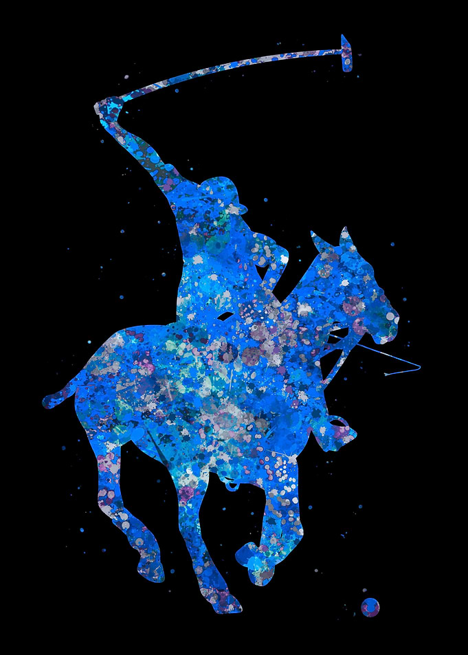Polo equestrian