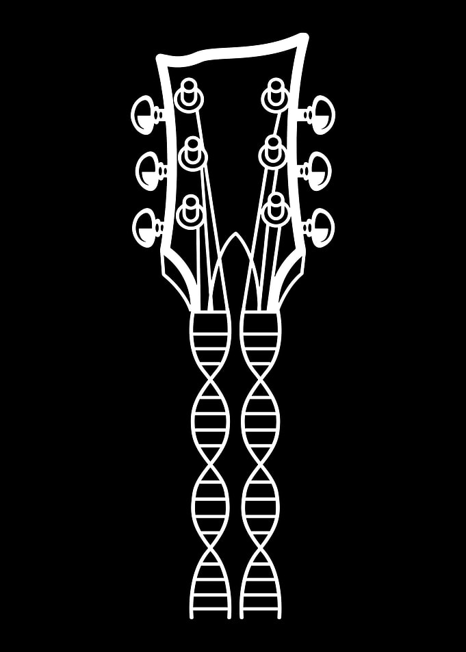 Electric Guitar Guitarist
