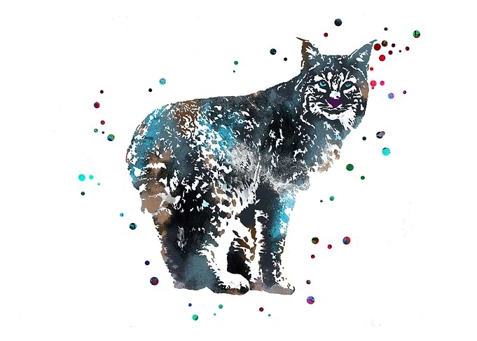 Bobcat