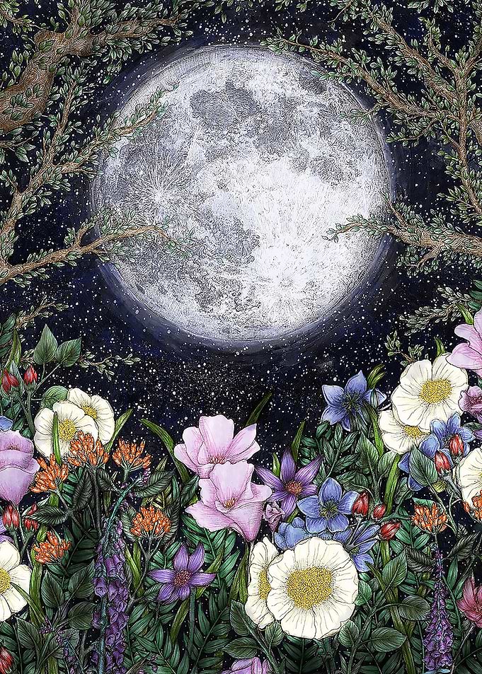 Midnight in the Garden 2