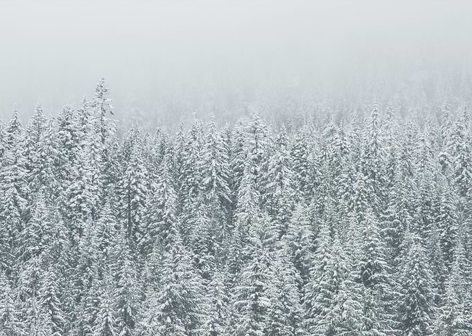 Frozen