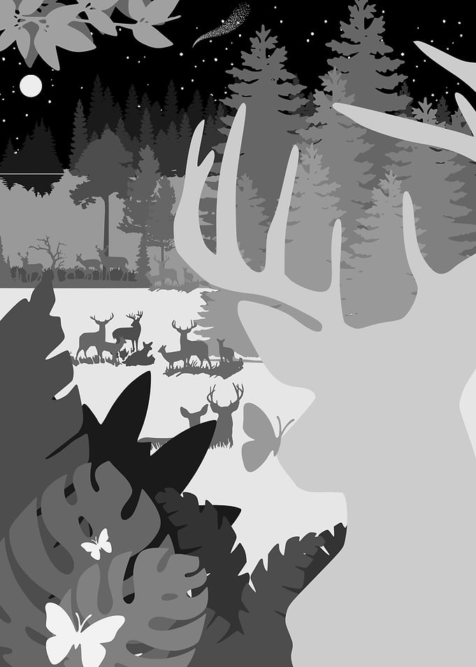 Deer Wall Art