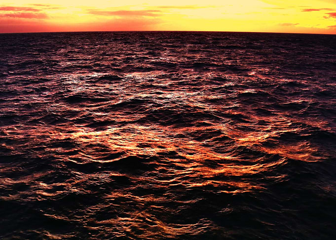 Waves