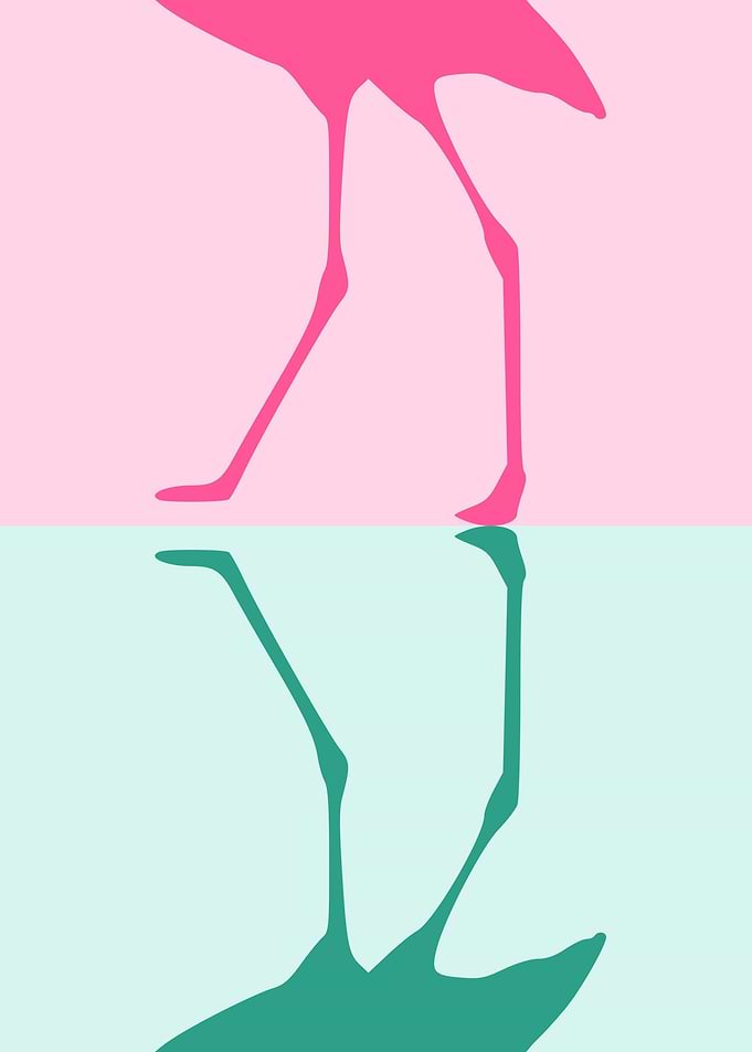 Flamingo Wall Art