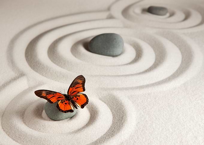 Flutter Free
