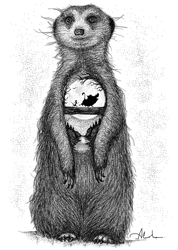SURICATA