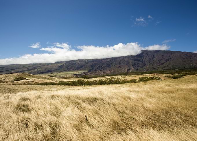 Grasslands