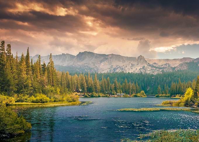 Nature