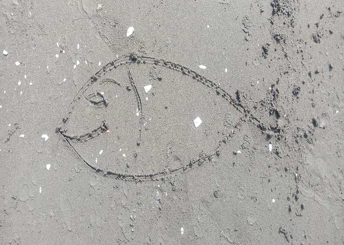fish