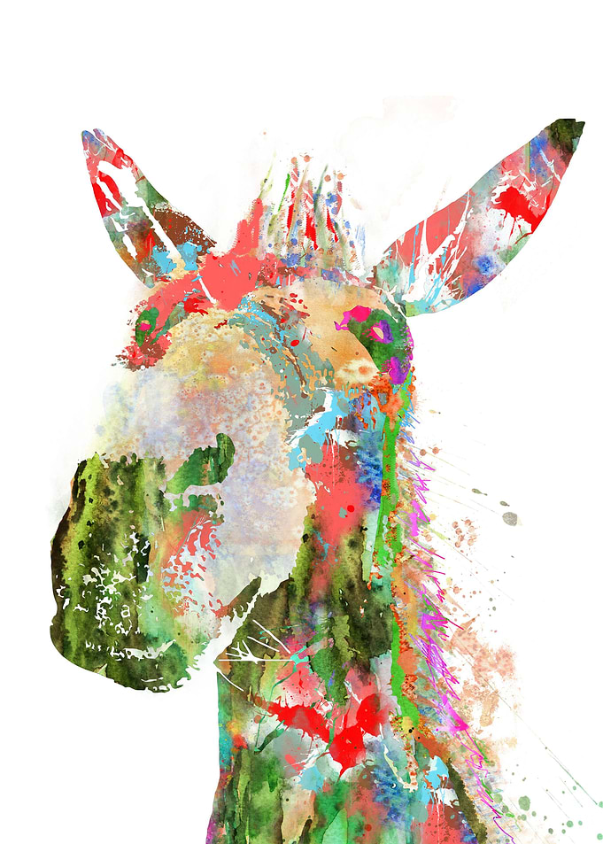 Donkey