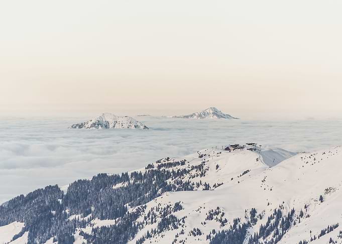 Frozen