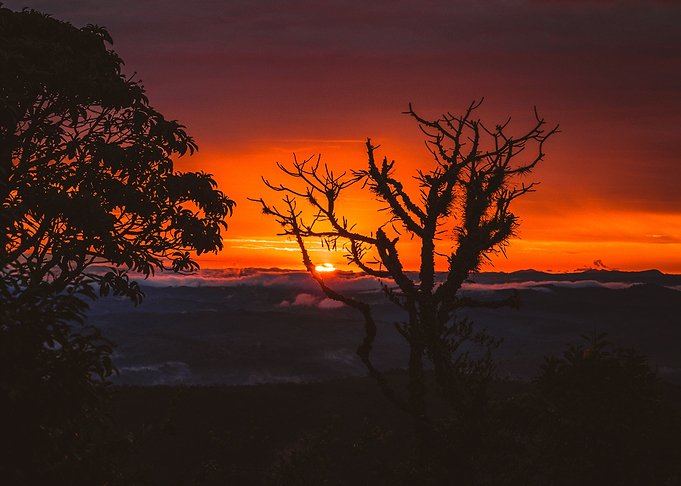 Sol Nascendo