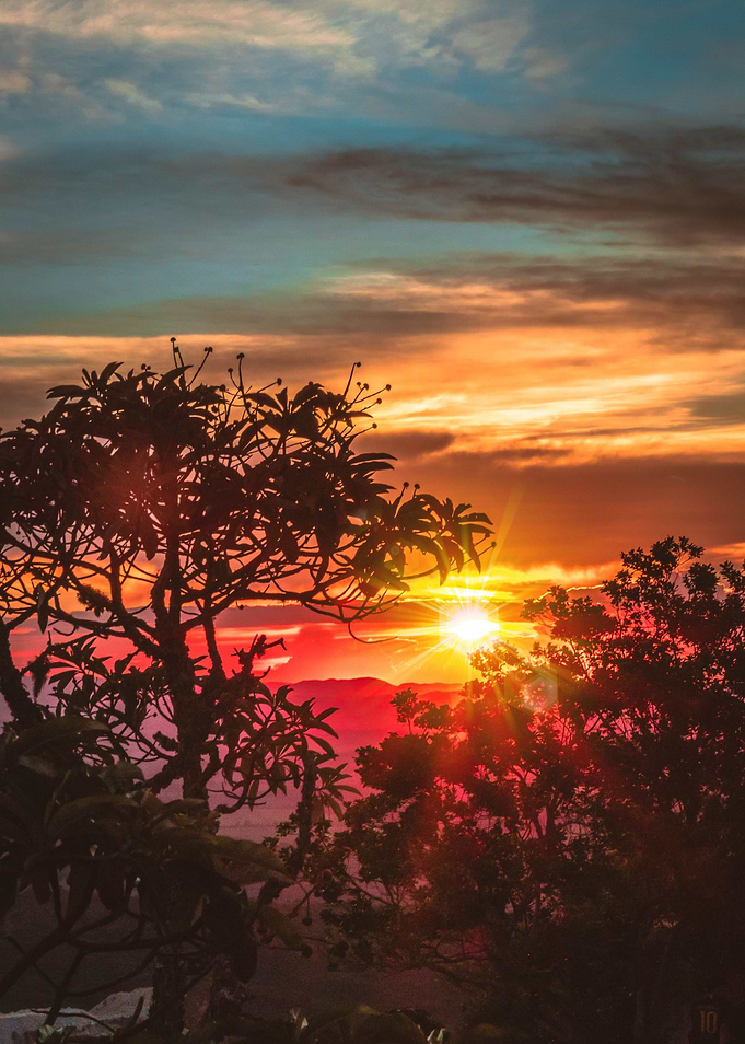 Sol Nascendo